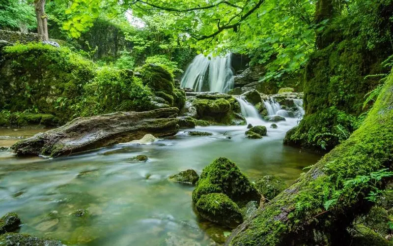 高端高性能